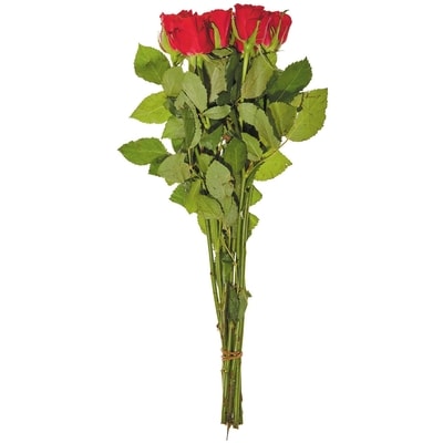null Roses 9-Stem 1 ea, $10.00/1ea