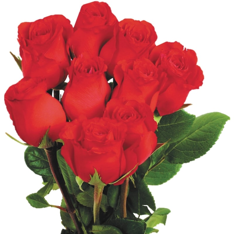 Roses 9-Stem