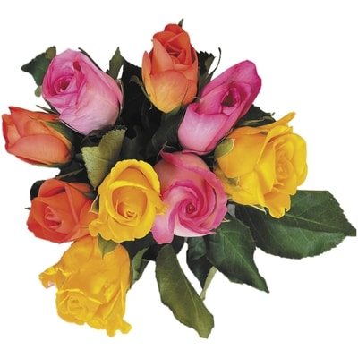 null Bouquet de roses intermédiaires 1 ea, 10,00 $/1ch
