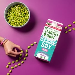 Earth's Own Gluten-Free Unsweetened Original Soy Milk Alternative