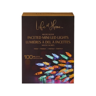 Life at Home Jeu de 100 lumières à DEL à facettes – multicolore 1 ea, 16,00 $/1ch