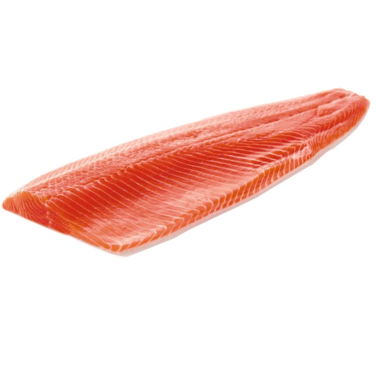 Fresh Steelhead Trout Fillet