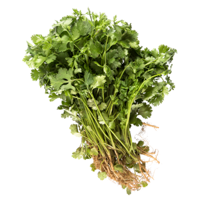 null Organic Cilantro 1 ea, $2.99/1ea