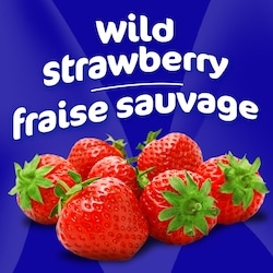 MiO Energy Wild Strawberry Drink Mix Powder - 31 g | No Frills Online
