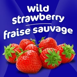  WILD STRAWBERRY 超美品 Mini Wild Strawberries – Go Mmm