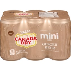 Ginger Beer Mini Can