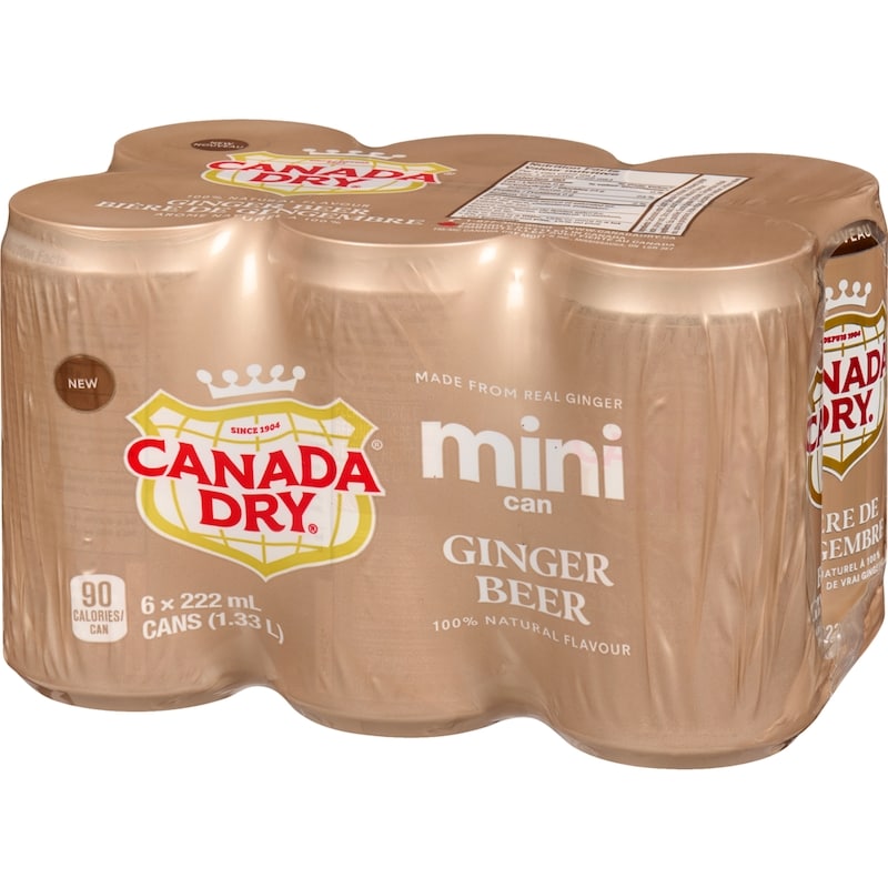 Ginger Beer Mini Can