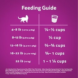 How Much Food to Feed a Cat: Ultimate Feeding Guide
