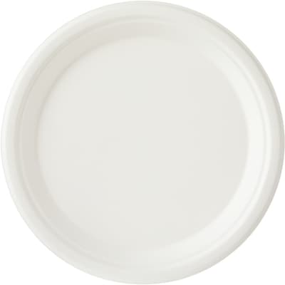 Assiettes à repas principal, emballage de 40