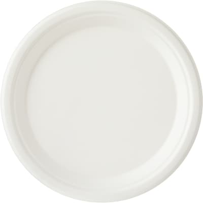 Assiettes à repas principal, emballage de 40