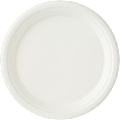 Assiettes à repas principal, emballage format Club de 125