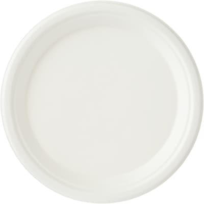 Assiettes à repas principal, emballage format Club de 125