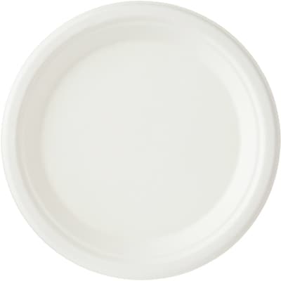 Lunch Plates 40 Pack