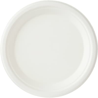 Assiettes à lunch, emballage de 40