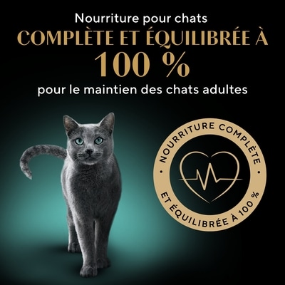 Sheba Nourriture humide pour chats adultes GRAVY INDULGENCE PERFECT PORTIONS repas au poulet dans une généreuse sauce, barquette de 75 g 75 g, 2,39 $/100g