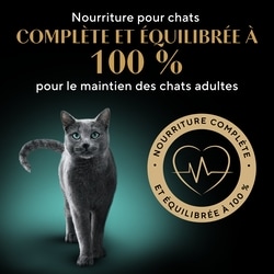Sheba Nourriture humide pour chats adultes GRAVY INDULGENCE PERFECT PORTIONS repas au poulet dans une généreuse sauce 75 g, 2,39 $/100g