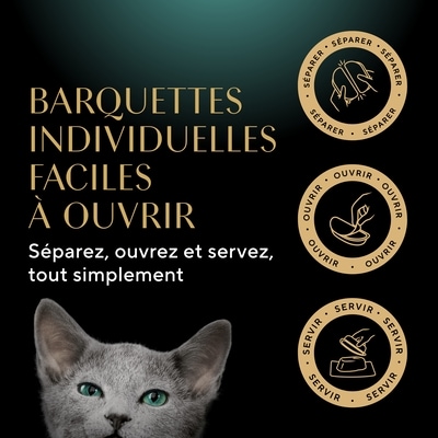 Nourriture humide pour chats adultes GRAVY INDULGENCE PERFECT PORTIONS repas au poulet dans une généreuse sauce, barquette de 75 g