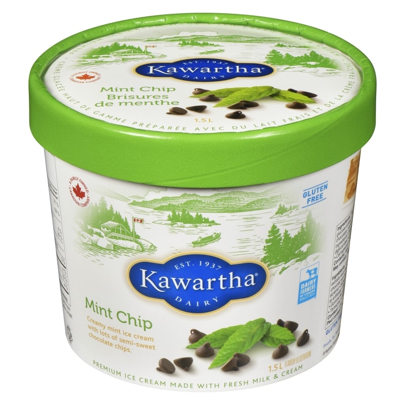 Premium Ice Cream Made With Fresh Milk & Cream Mint Chip