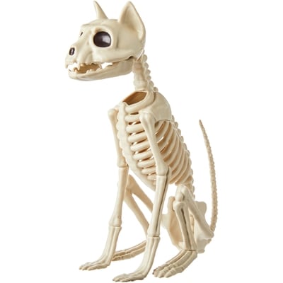 null Skeleton Cat 1 ea, $13.00/1ea