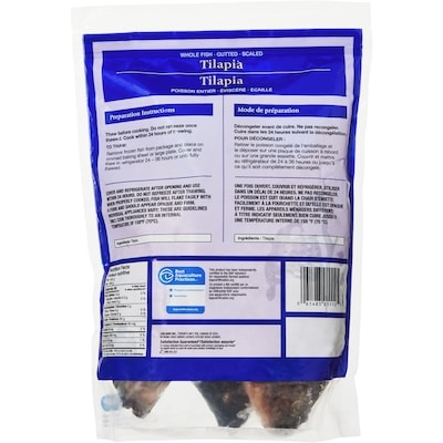Tilapia Whole Fish