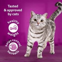 Whiskas Indoor Cat Adult Dry Cat Food With Real Chicken kg