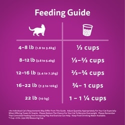 How Much Dry Food to Feed a Cat Chart: Ultimate Feeding Guide