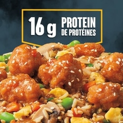 Crave Spicy Szechuan Style Fried Chicken on Rice Frozen Meal - 300