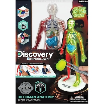 Discovery Human Anatomy Kit 1 ea, $30.00/1ea