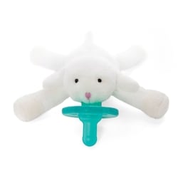 Infant Pacifier