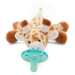 Infant Pacifier