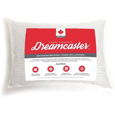 Proscan Dreamcaster Oreiller 1 ea, 5,50 $/1ch