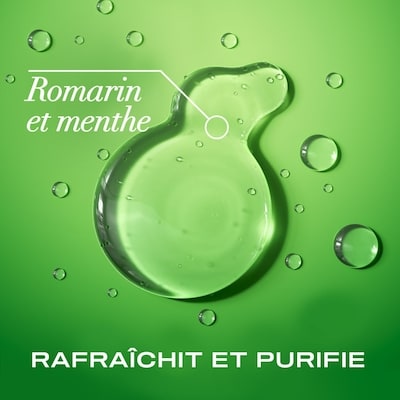 Shampooing Extra fort + romarin et menthe