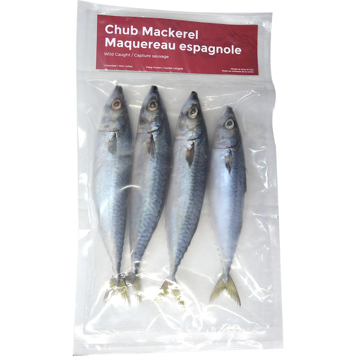 Whole Chub Mackerel