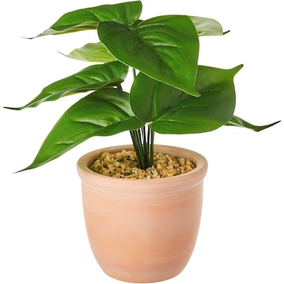 Life at Home Faux Silk Pothos Plant with Ceramic Pot 1 ea, $10.00/1ea