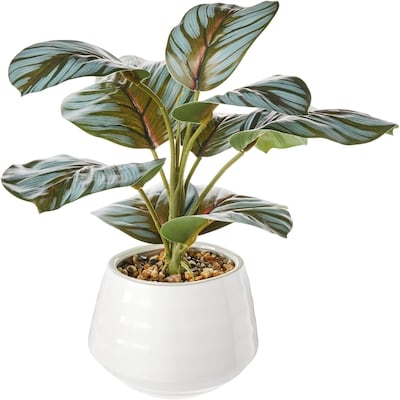 Life at Home Faux Silk Calathea Orbifolia Plant with Ceramic Pot 1 ea, $15.00/1ea