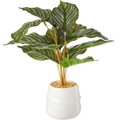 Life at Home Plante calathea ornata artificielle en soie avec pot en céramique 1 ea, 15,00 $/1ch