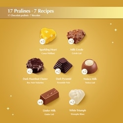 Lindt Champs-Élysées Prestigious Selection Of 17 Fine Assorted