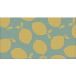 Everyday Essentials Reversible Outdoor Rug 59.06 in x 35.40 in - Lemons 1 ea, $20.00/1ea