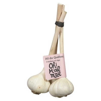 null Bulbe d'ail paquet de 3 1 ea, 4,49 $/1ch
