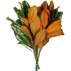 le Choix du Président Bouquet feuilles de magnolia 1 ea, 14,00 $/1ch