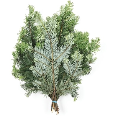 President's Choice Silver Fir Bunch 1 ea, $14.00/1ea