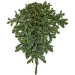 le Choix du Président Bouquet de sapins nobles 1 ea, 14,00 $/1ch