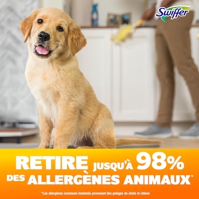 Recharges de plumeaux Ultra résistant, animaux, 6 unités