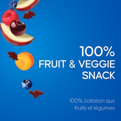 Fruit to go 100 % collation aux fruits et légume +légume bouchées pomme baies carotte