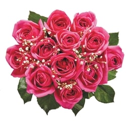 President's Choice Dozen Roses in assorted colours 1 ea, $22.00/1ea
