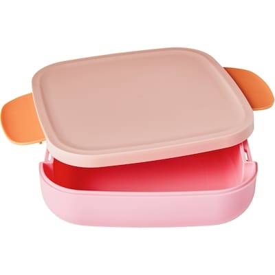 Contenant à repas : boîte à sandwich – rose