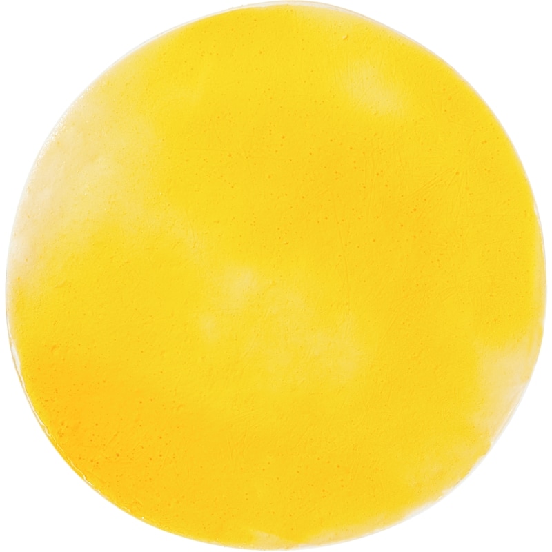 8-inch Cake, Mousse Mango