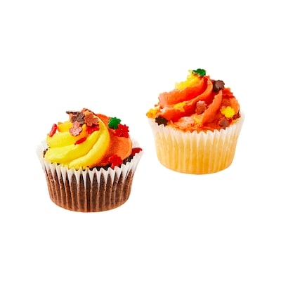 Chocolate and Vanilla Mini Cupcakes