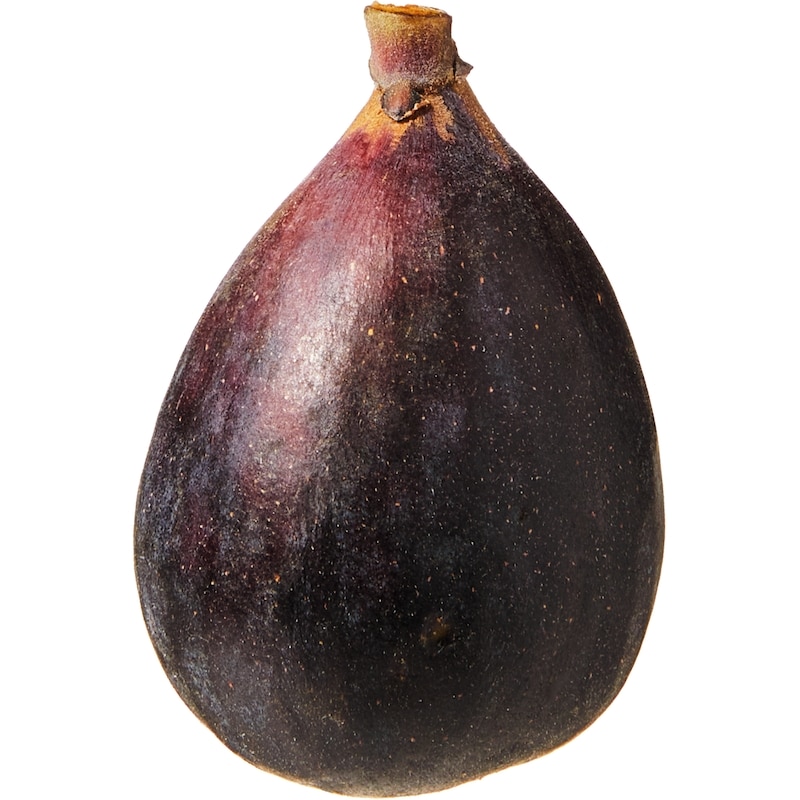 Tropical Collection Black Mission Figs