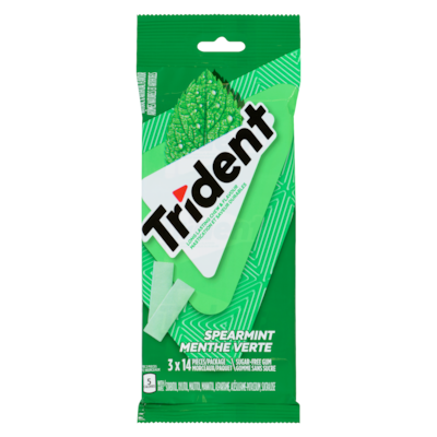 Gomme sans sucre menthe verte